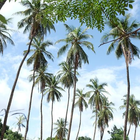Centre Touristique Et Culturel Casamance Pension Diakene Ouolof Buitenkant foto