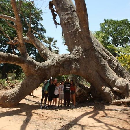 Centre Touristique Et Culturel Casamance Pension Diakene Ouolof Buitenkant foto