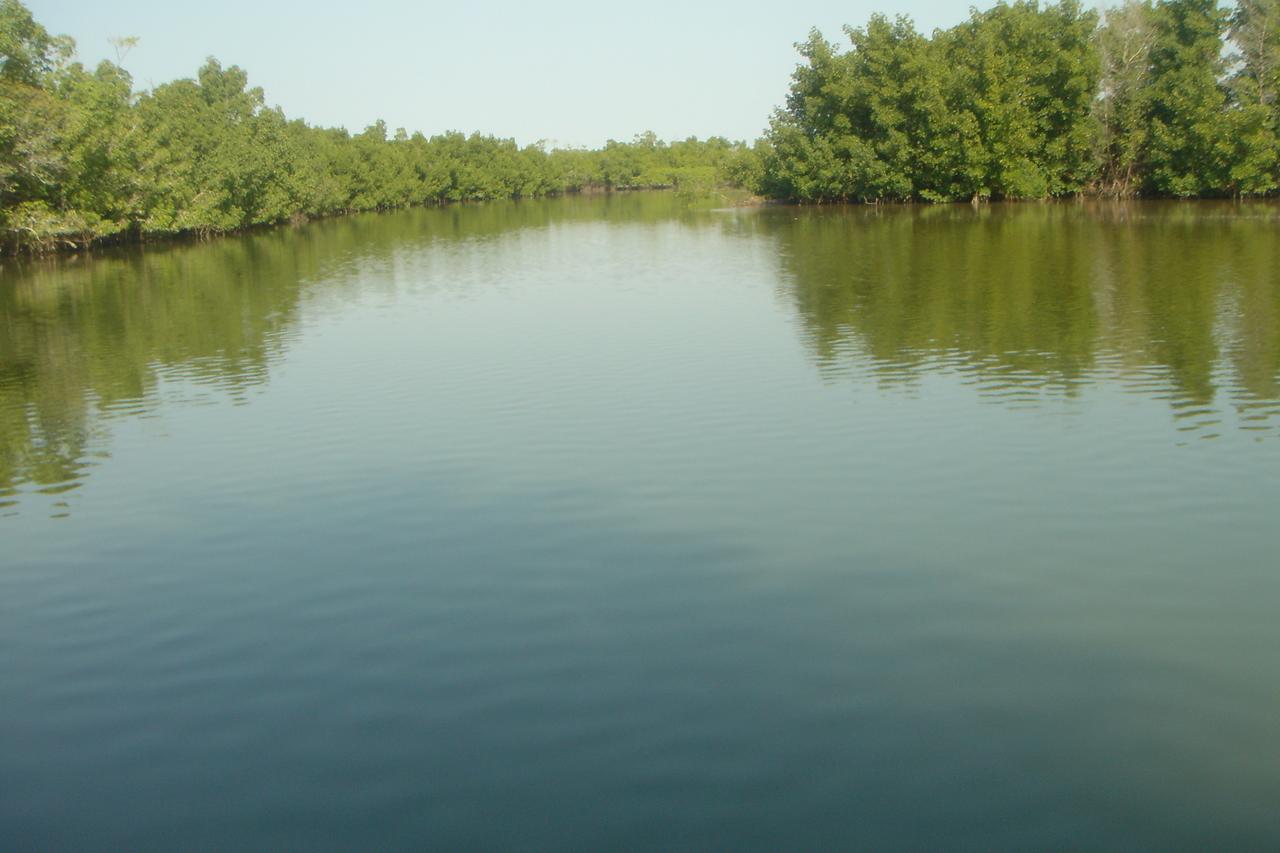Centre Touristique Et Culturel Casamance Pension Diakene Ouolof Buitenkant foto