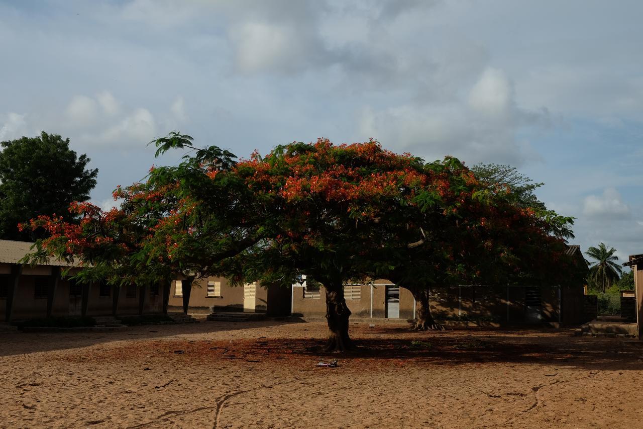 Centre Touristique Et Culturel Casamance Pension Diakene Ouolof Buitenkant foto