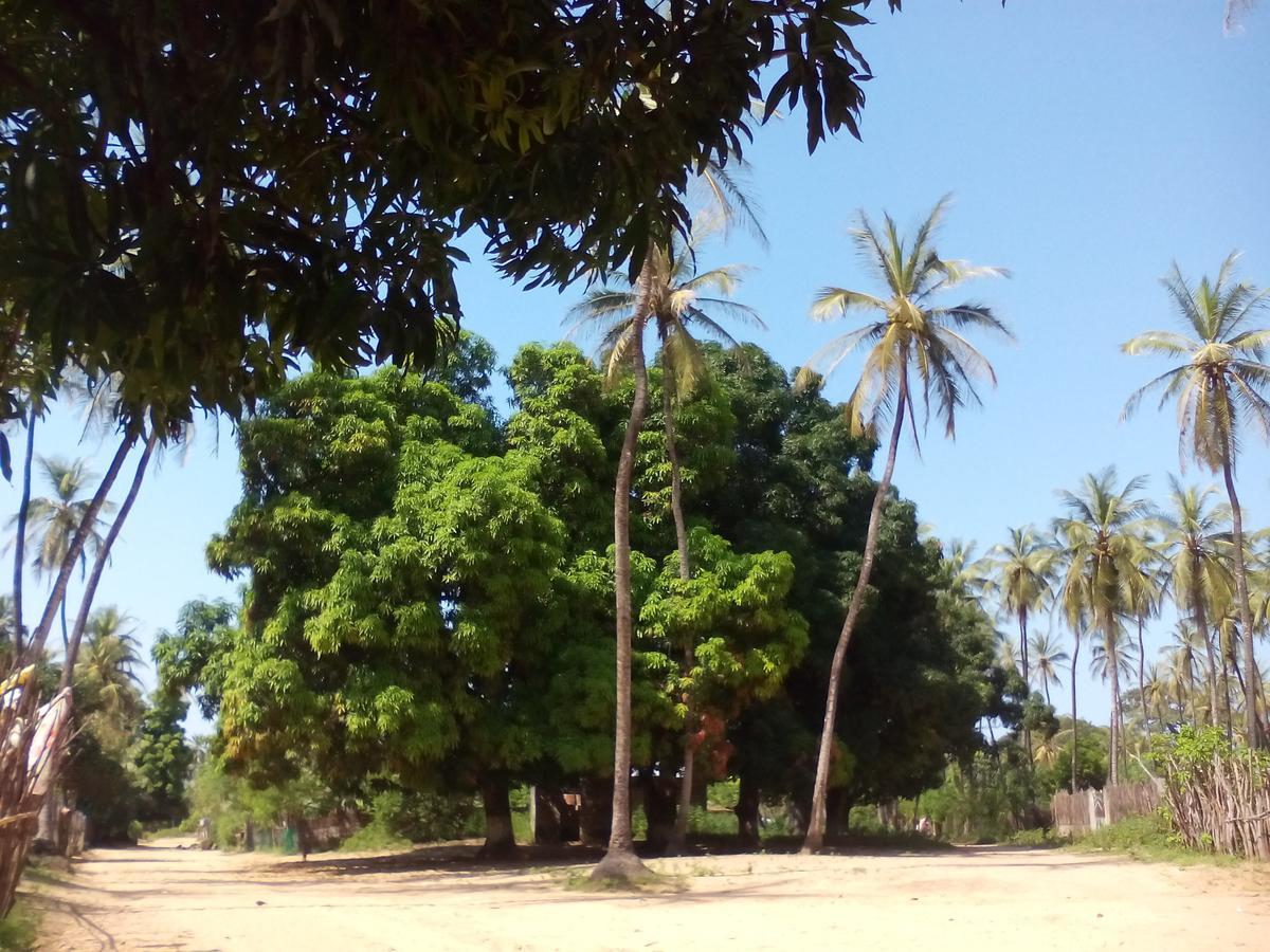 Centre Touristique Et Culturel Casamance Pension Diakene Ouolof Buitenkant foto