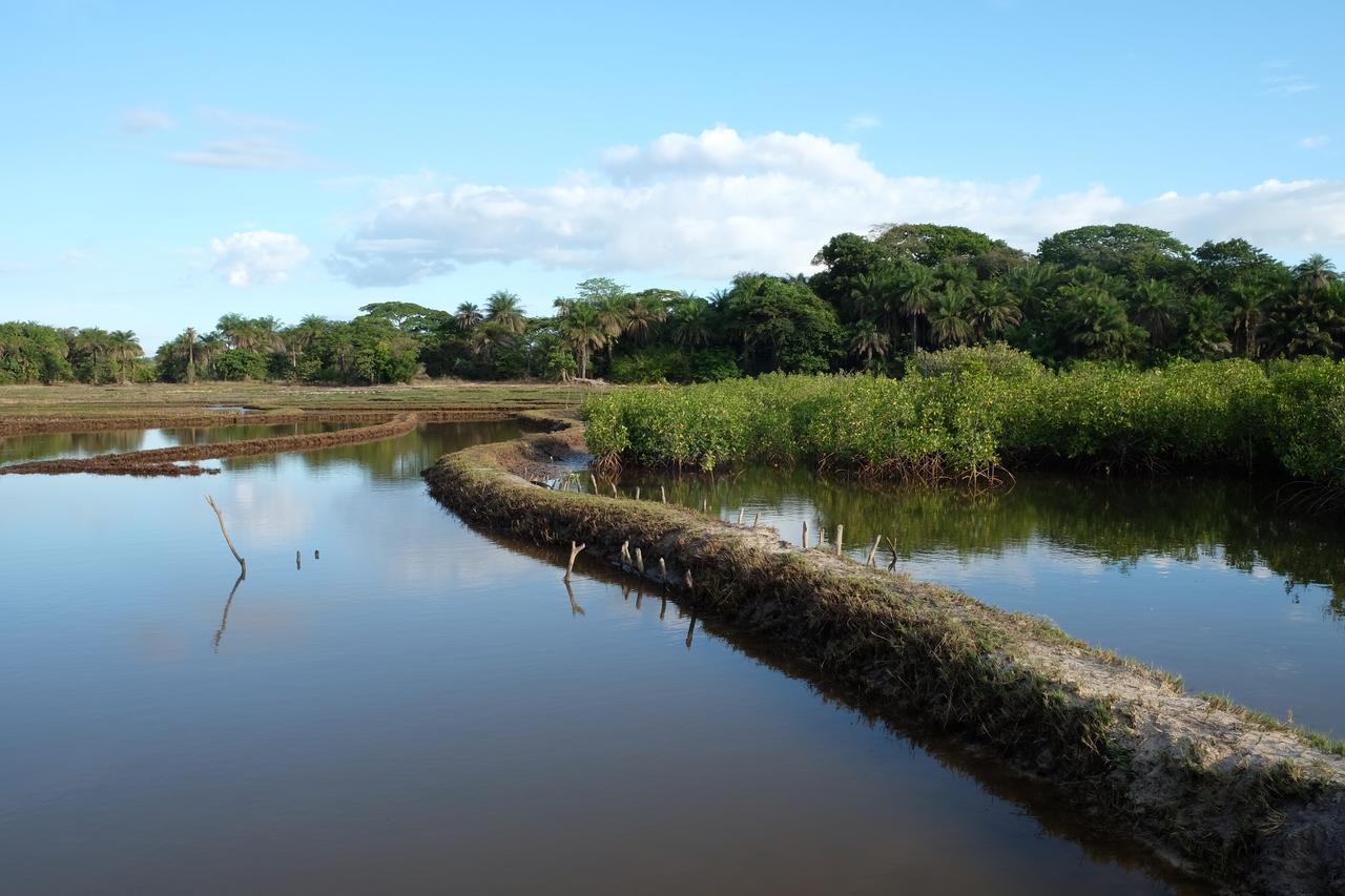 Centre Touristique Et Culturel Casamance Pension Diakene Ouolof Buitenkant foto