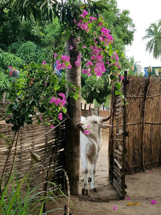 Centre Touristique Et Culturel Casamance Pension Diakene Ouolof Buitenkant foto